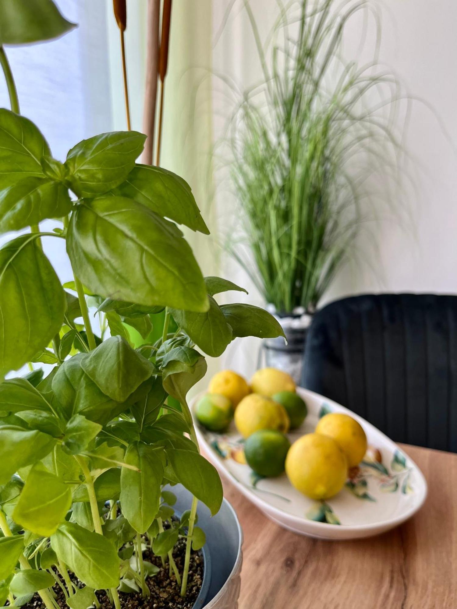 Luxurious Incl Garage And Terrace Appartement Wenen