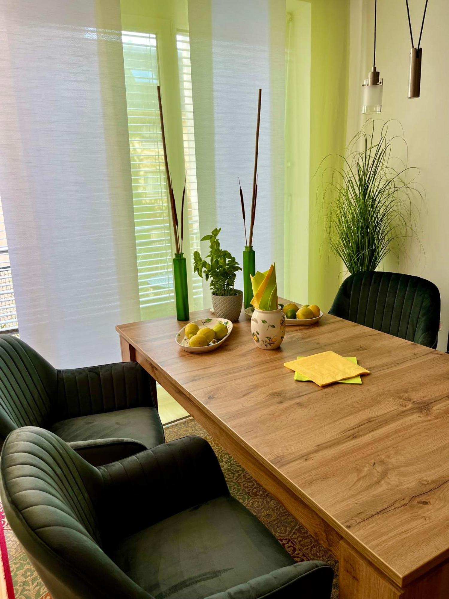 Luxurious Incl Garage And Terrace Apartment Vienna